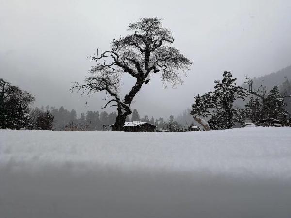 耐高温200度环氧树脂胶水粘接后方便拆卸吗?