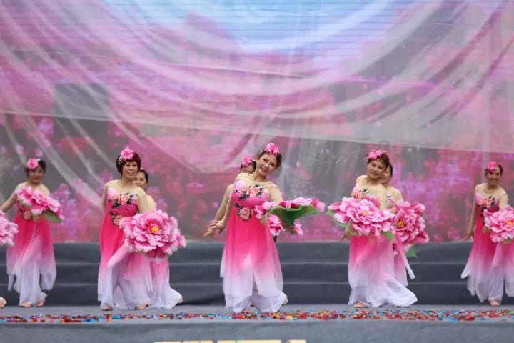 肺结核服药督导手册