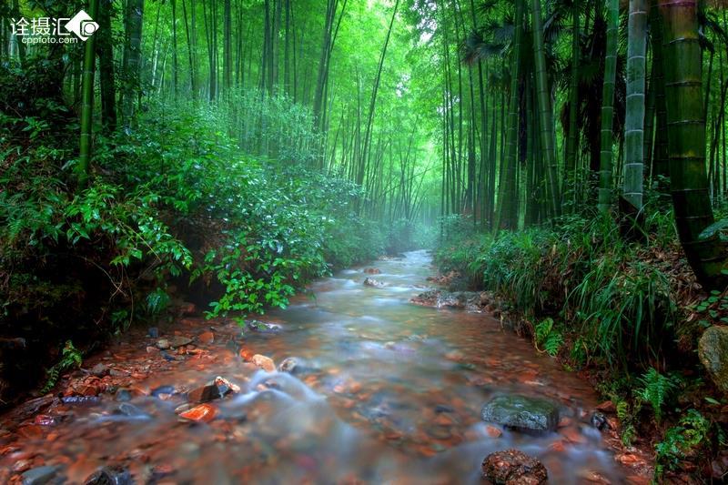 岱山:书屋迎新,携手护苗