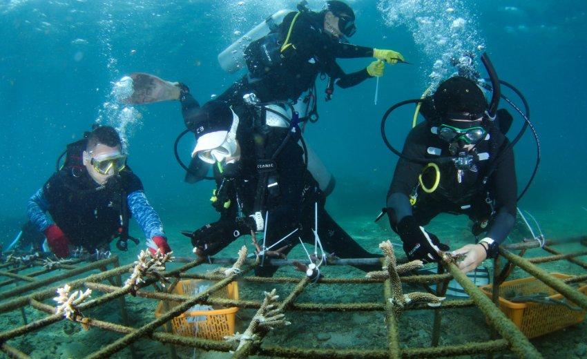 浙江日报社论:为勇当先行者谱写新篇章汇聚强大合力——热烈祝贺省政协十三届二次会议开幕